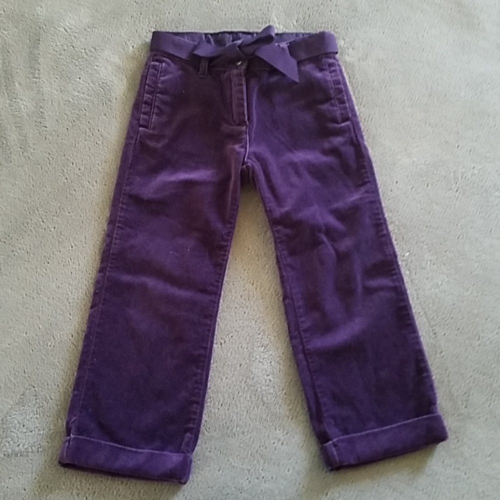 Janie and Jack purple velvet pants sz 3T